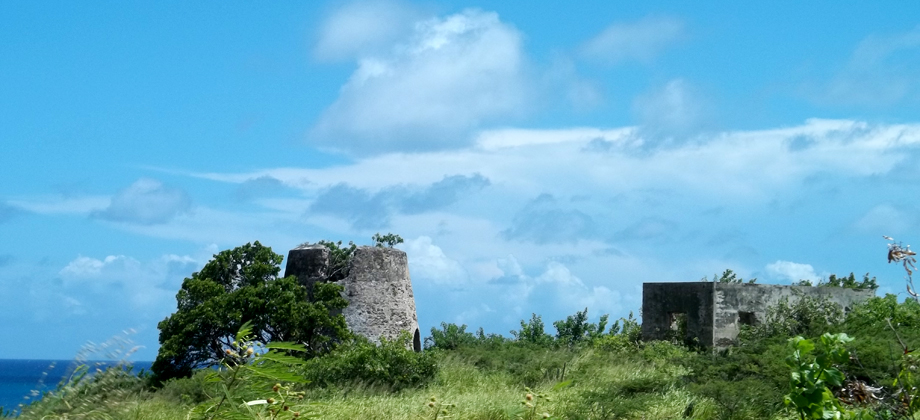 Sugar Mill Ruins