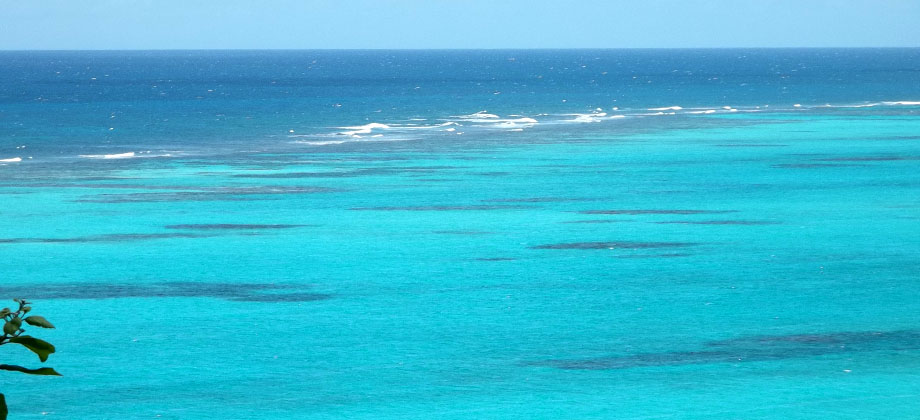 Azure Waters