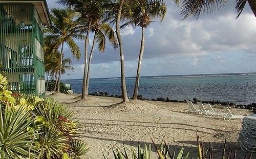Colony Cove, beach view